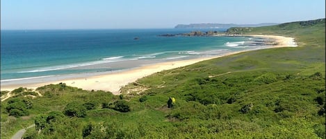 A coastal landscape with a beach, greenery, and a clear view of the ocean.