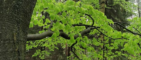 Außendetails
