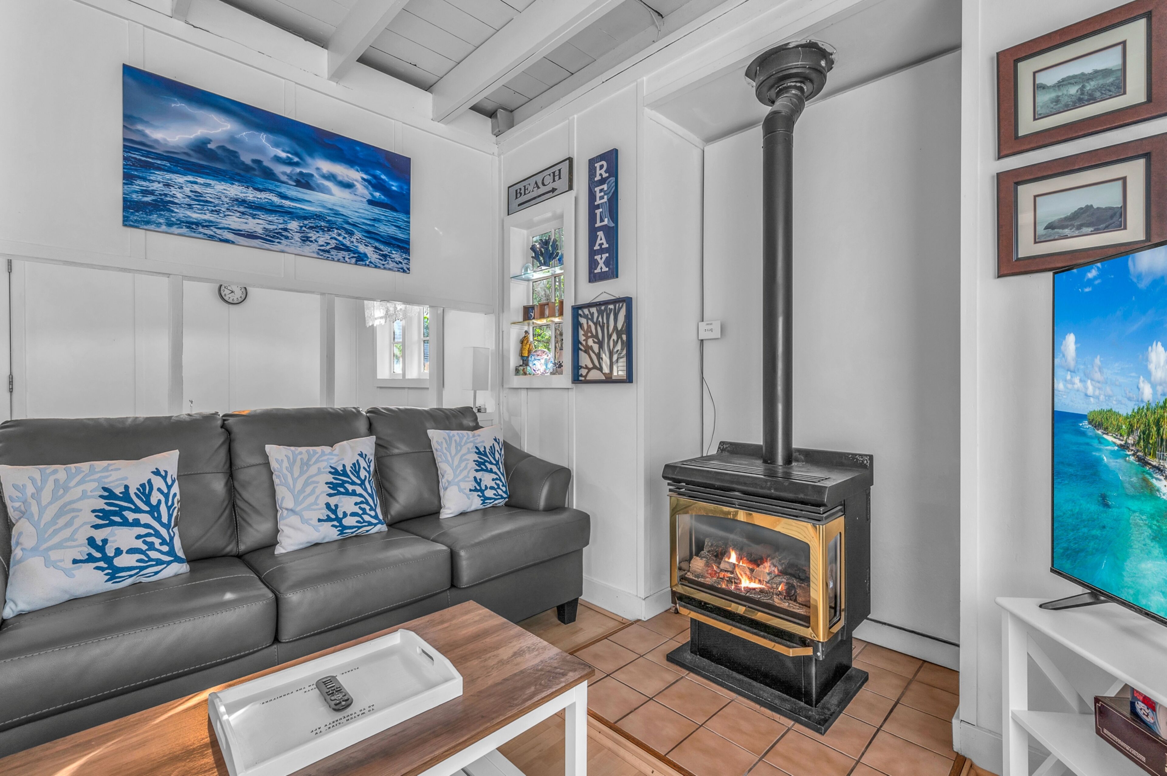 Smart TV, fireplace, DVD player, books