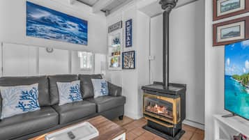 Smart TV, fireplace, DVD player, books