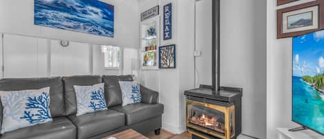 Smart TV, fireplace, DVD player, books