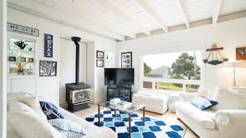 Smart TV, chimenea, reproductor de DVD, libros