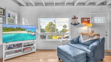 Smart-tv, een open haard, een dvd-speler en boeken