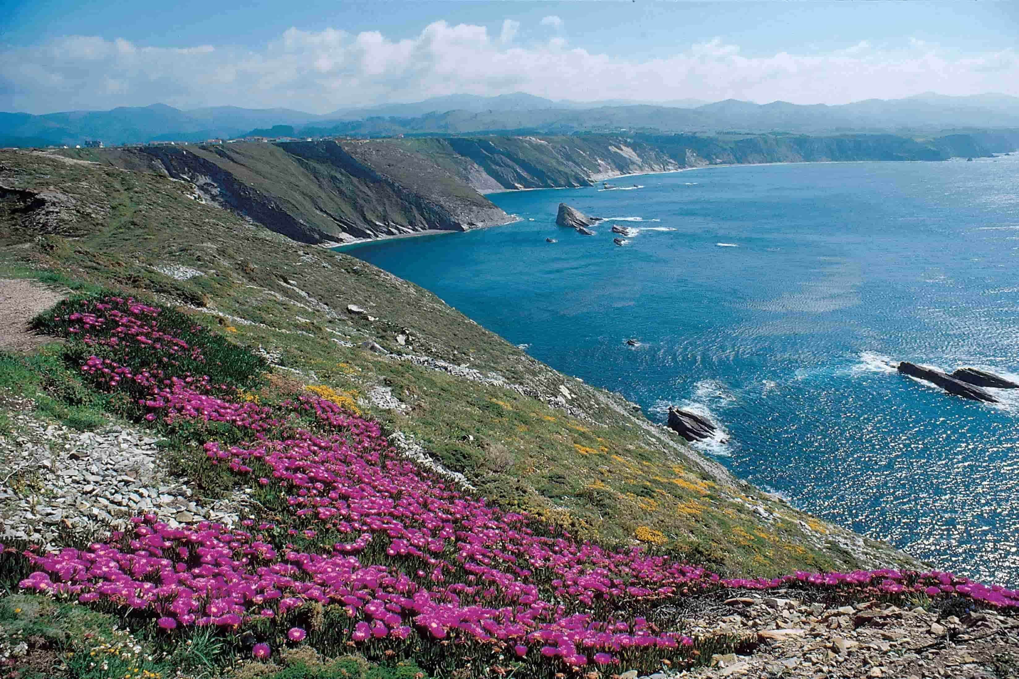 Un paysage côtier caractérisé par un terrain rocheux et une vue sur la mer.