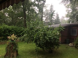 Property grounds - Forest house on a large plot (Zichtau)