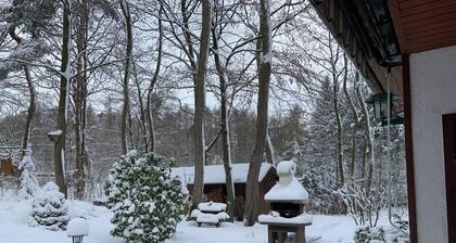 Forest house on a large plot