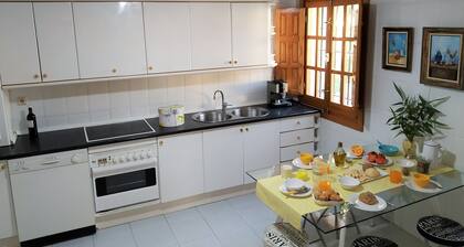 Maalaismainen majoitus, talomuseo. Uima-allas ja BBQ