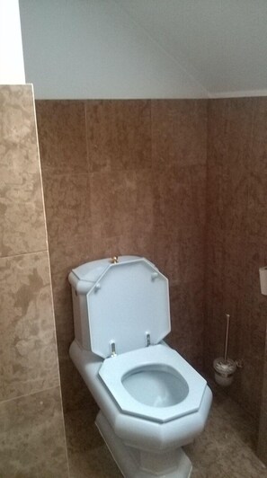 Shower, bidet, towels, toilet paper