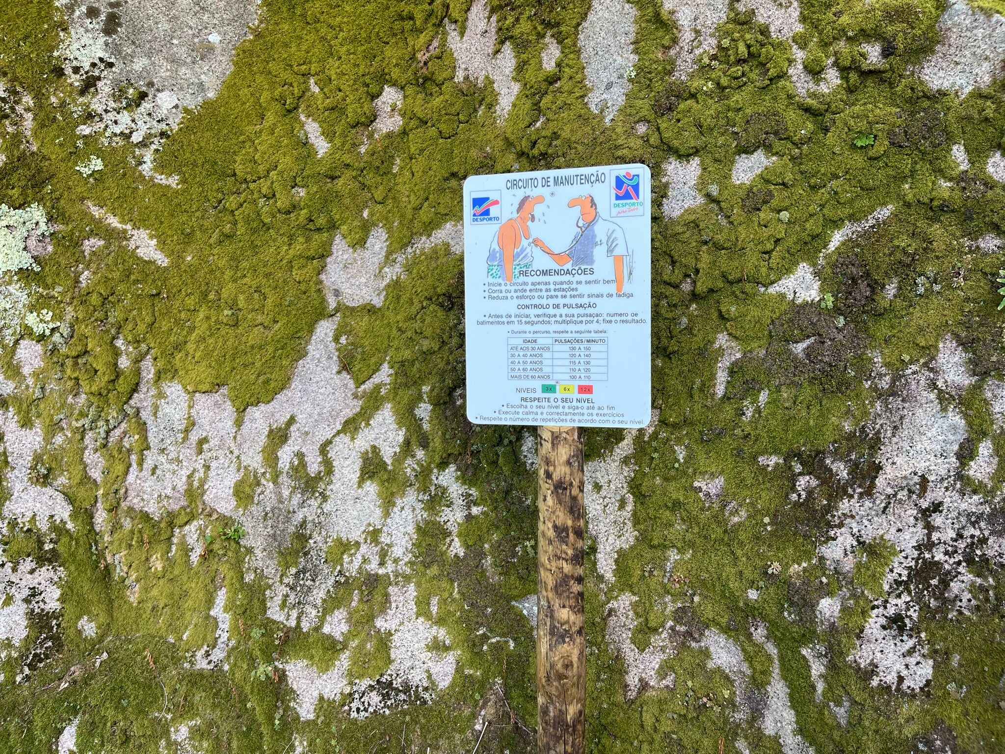 Un cartel con instrucciones de mantenimiento sobre una superficie cubierta de musgo.