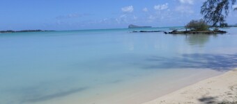 MIMOSAS ROOM *************************