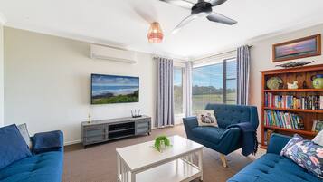 Smart TV, Netflix, DVD player, books