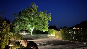 Ein beleuchteter Außenbereich bei Nacht mit einem gepflasterten Weg, einem großen, beleuchteten Baum und einer Sitzgruppe mit Stühlen.