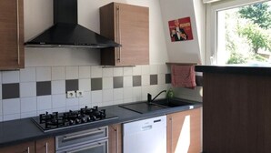 Una cocina moderna con estufa a gas, horno, lavavajillas y una lámpara colgante roja.