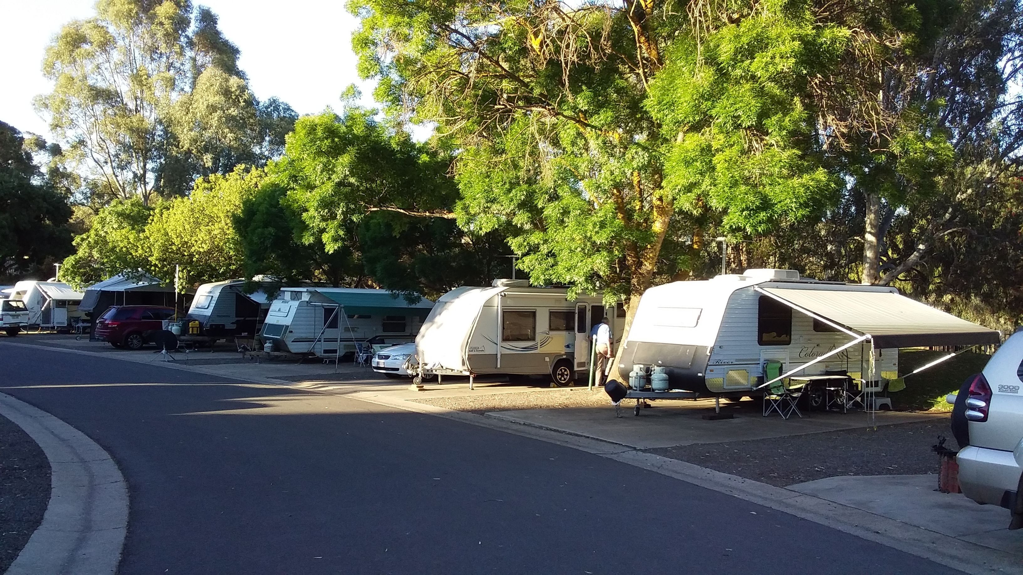 Une rangée de camping-cars est stationnée le long d’une rue, avec des arbres en arrière-plan.