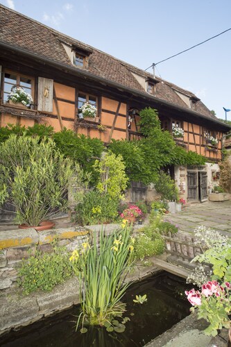 Apartment in old Alsatian farmhouse