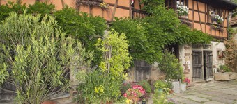 Apartment in old Alsatian farmhouse