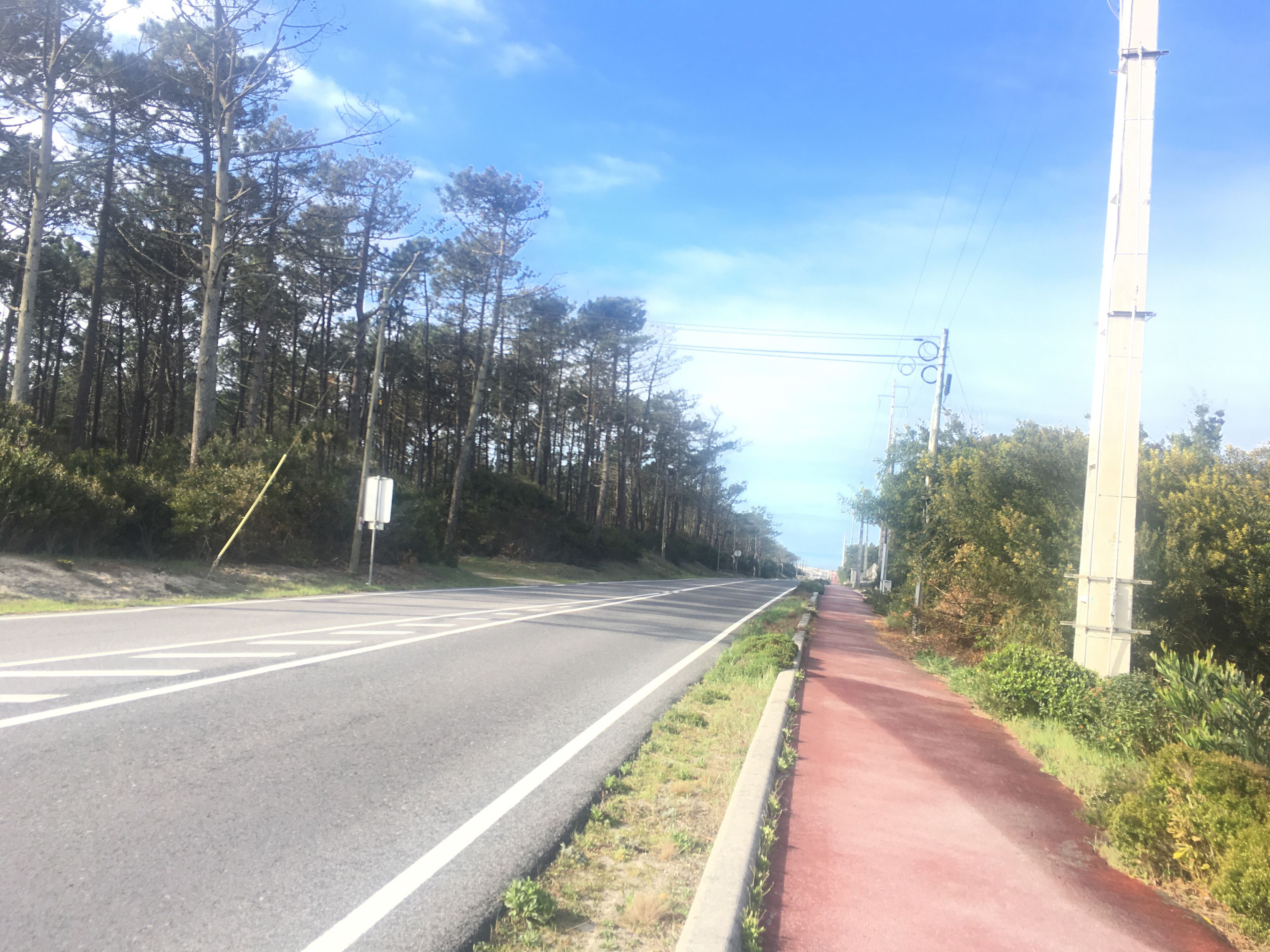 Una carretera con un carril bici rojo, rodeada de árboles y un poste de electricidad.