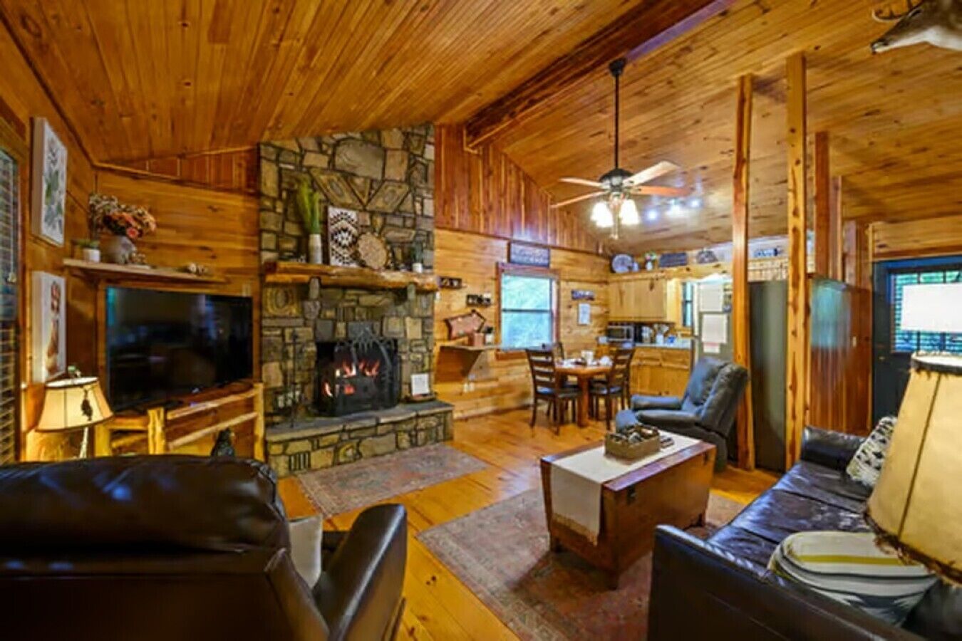 TV, fireplace, books