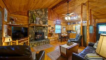 TV, fireplace, books