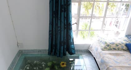 HIBISCUS ROOM ********************