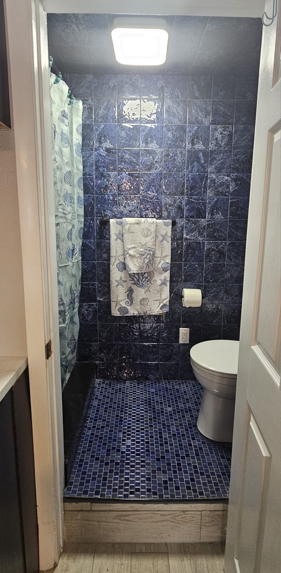 Ein Badezimmer mit dunkelblauen Fliesen, einer weißen Toilette und einem Duschvorhang mit einem Meeresschildkrötenmuster.