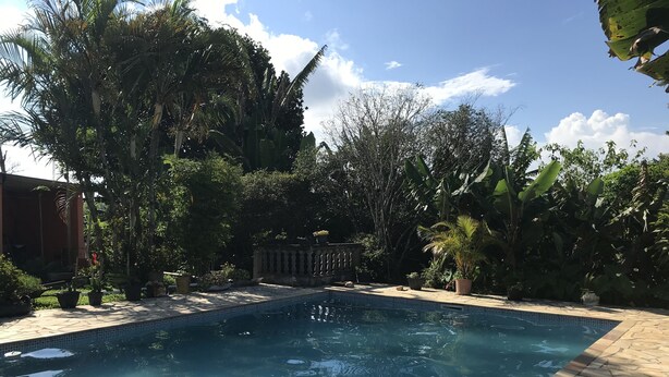 Une piscine rectangulaire dont le bord est recouvert de carreaux, entourée de différents arbustes et arbres en pot.