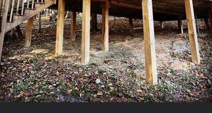 Locations de chalets et de campings