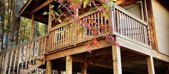 Locations de chalets et de campings