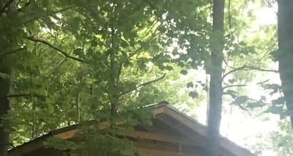 Rental Cabin - Back of the Dragon