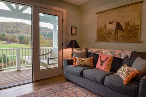 Smart TV, fireplace, Netflix, books