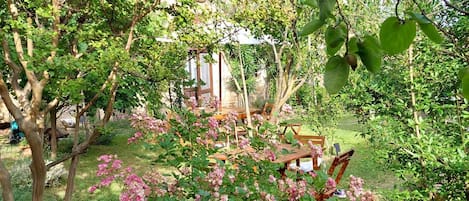 Parco della struttura