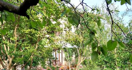 Casa Clelia: the gem in the heart of the Langhe