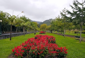 Property grounds - Modern villa in the center of Furnas (Furnas)