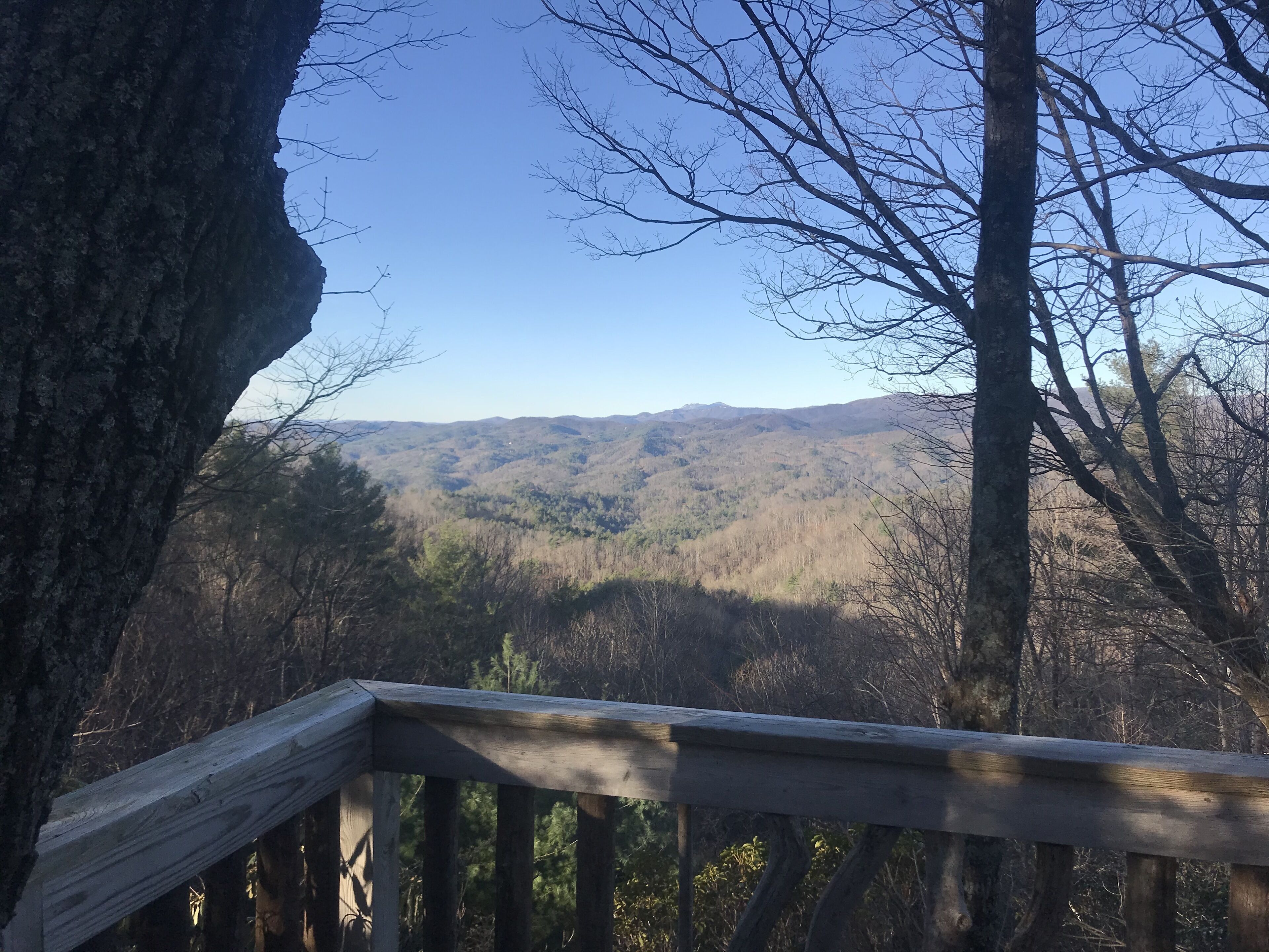 Une terrasse en bois donnant sur une chaîne de montagnes boisée.