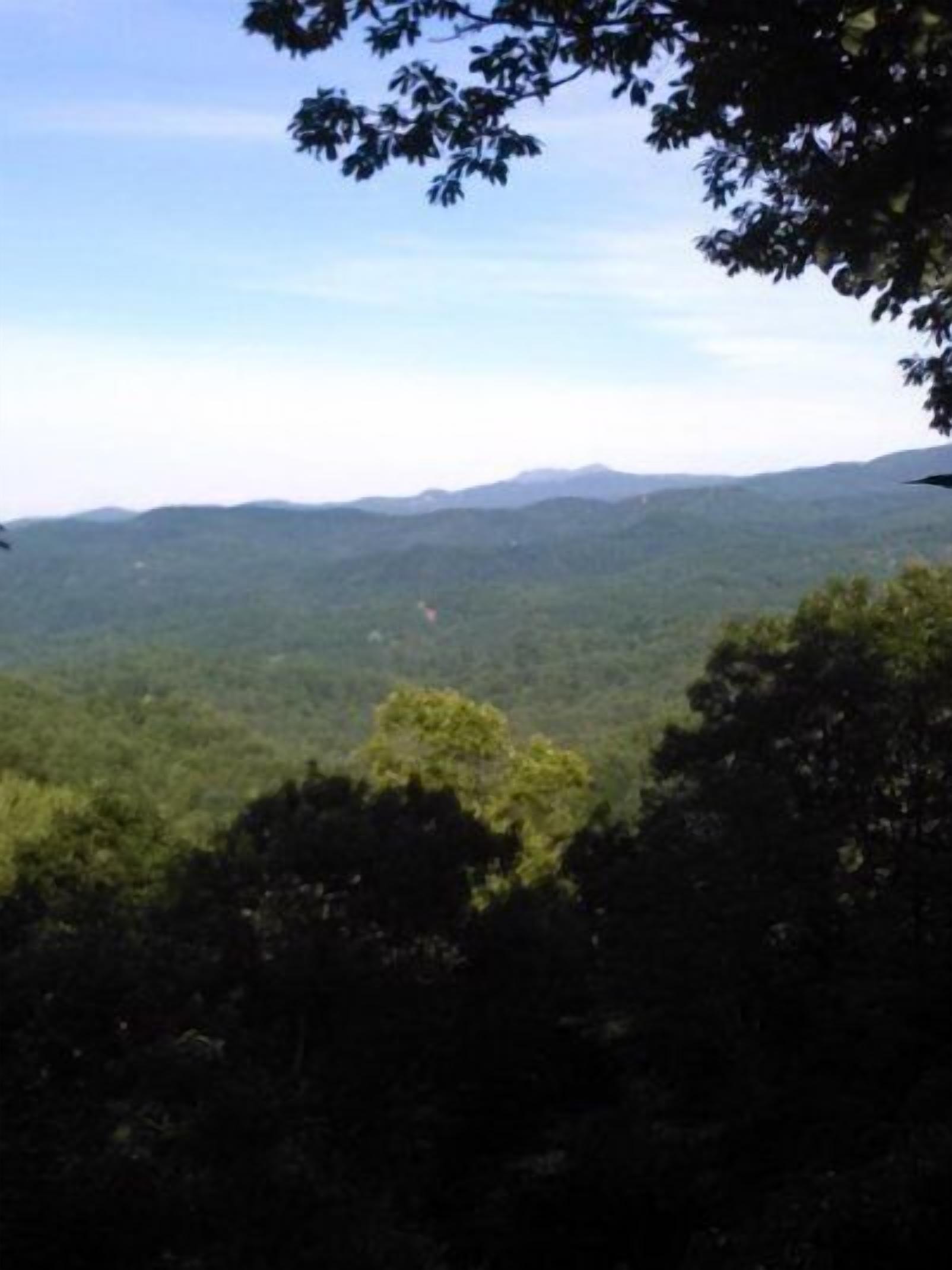 A panoramic view of a mountainous landscape with dense forest coverage.
