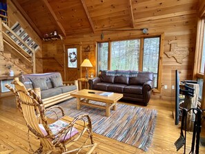 TV, fireplace, books - Pet-Friendly,Cozy Cabin,Hot Tub,Wood Fireplace,WiFi (Ferguson)