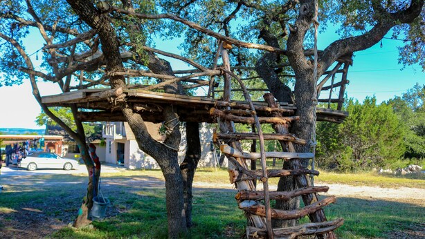A wooden structure built into a tree, possibly a treehouse or play area, with a ladder leading up to it. - Blissful RV Retreat in Canyon Lake! Only 5 minutes from the lake and river! (Canyon Lake)