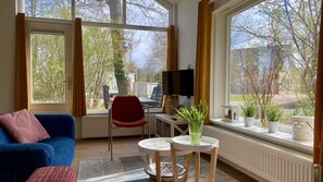 Televisión, chimenea, reproductor de DVD y libros 