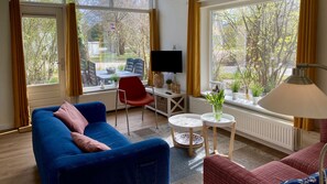 Televisión, chimenea, reproductor de DVD y libros 