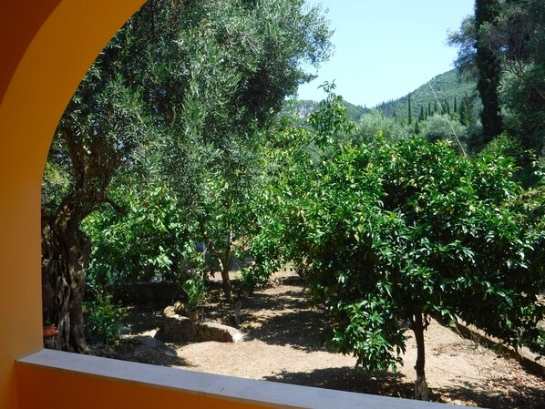 Parco della struttura