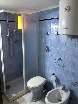 Shower, hair dryer, bidet, towels