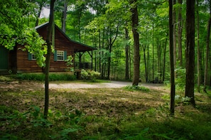 Exterior - Cozy Cabin Among the Trees - Rustic Charm, Modern Comforts,  26 Secluded Acres  (Stoystown)