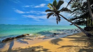 Een strand met helder turquoise water, een zandstrand en palmbomen.