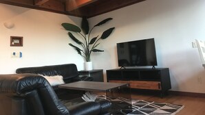 Un saló amb un sofà de pell negra, una taula de centre, un televisor sobre un suport de fusta, una planta gran en test i una catifa amb dibuixos.