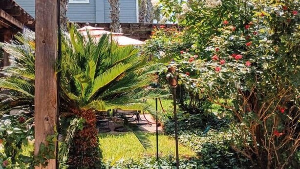 Ein Garten mit verschiedenen Pflanzen und einem Holzzaun.