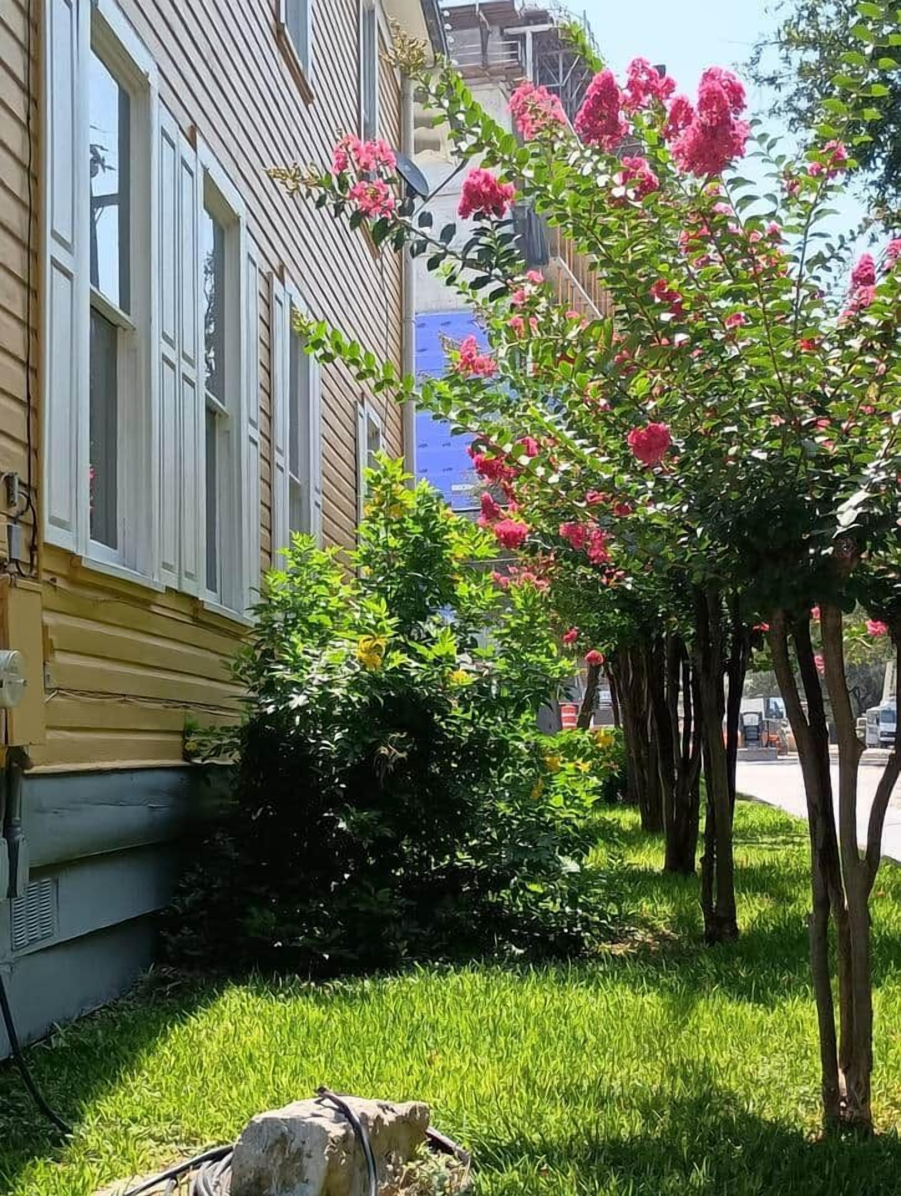 Ein Wohngebäude mit Garten, der rosa Blüten und grüne Sträucher zeigt.
