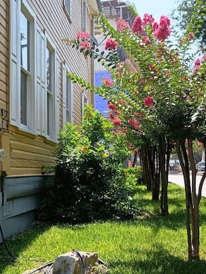 A residential building with a garden featuring pink flowers and green shrubs.