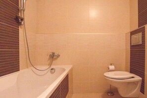 Combined shower/bathtub, hair dryer, towels, shampoo