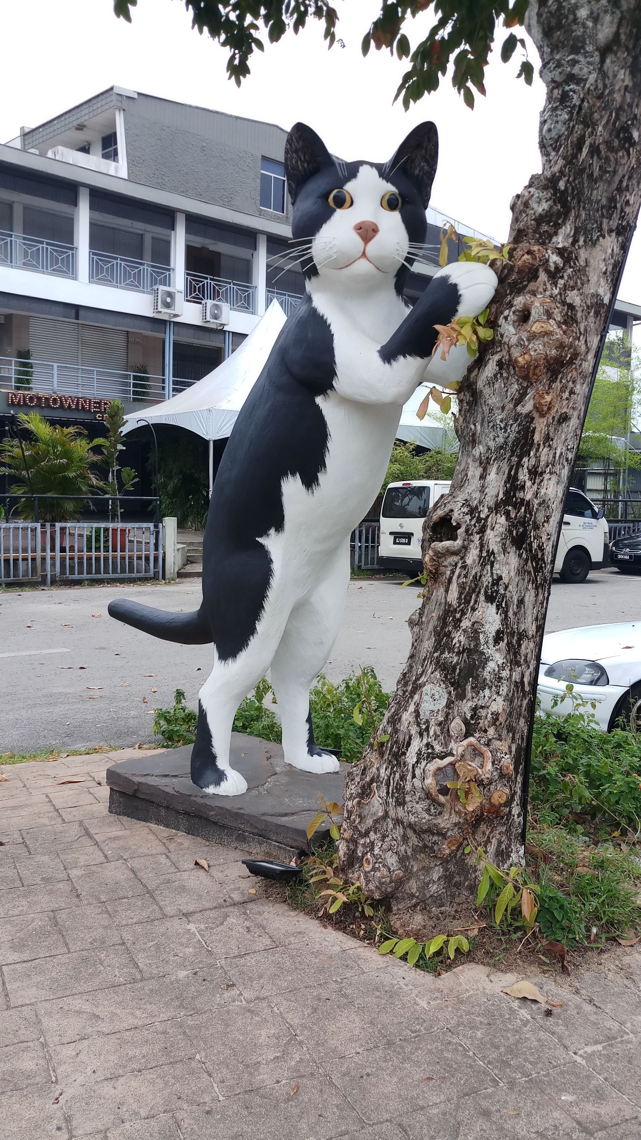 Foto - Roxy Hotel Padungan