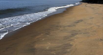 Family Beach Home in Cherai beach village. Suitable for working from home.